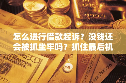 武汉怎么进行借款起诉？没钱还会被抓坐牢吗？抓住最后机会！