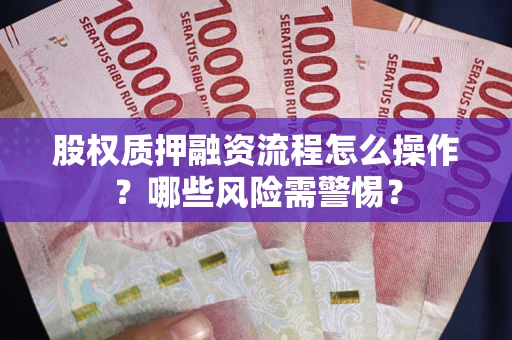 武汉股权质押融资流程怎么操作？哪些风险需警惕？