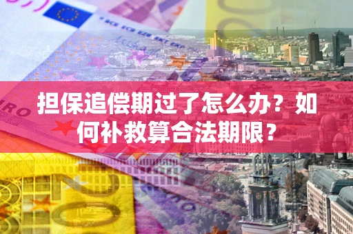 武汉担保追偿期过了怎么办？如何补救算合法期限？