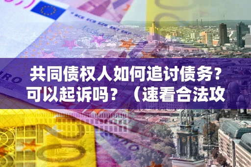 武汉共同债权人如何追讨债务？可以起诉吗？（速看合法攻略）