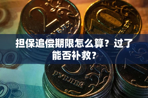 武汉担保追偿期限怎么算？过了能否补救？